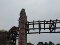 -塘沽森林公园