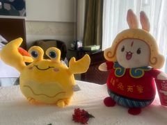 -三亚海棠湾万丽度假酒店