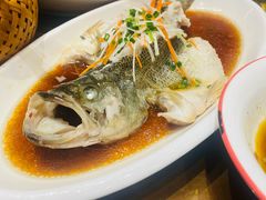 清蒸鲈鱼-钵家大院·地道湖北菜(江夏·大花岭店)