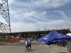 -中环花鸟鱼虫市场