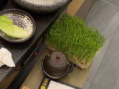-湊湊火锅·茶憩(打浦桥日月光店)