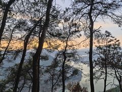 -铁山坪森林公园