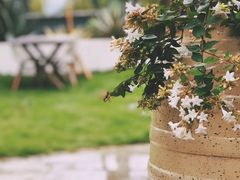 -悦哉·派对·草坪婚礼·围炉煮茶(三圣乡店)