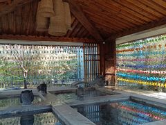 -中家鑫园温泉酒店鑫悦汤泉