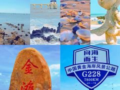-万尾金滩