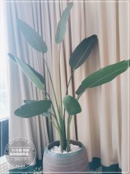 -丹漪·DANYI 美肤中心