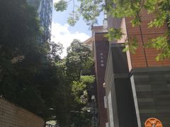 -香港大学