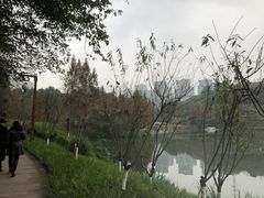 -重庆彩云湖湿地公园