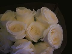 -循礼门鲜花花市(武汉循礼门店)