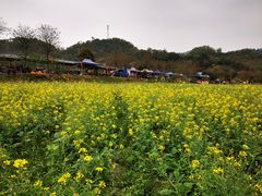 -红山村
