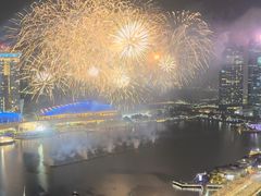 -新加坡瑞士史丹福酒店