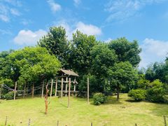 -上海野生动物园