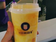 -一只酸奶牛(曲江龙湖星悦荟店)