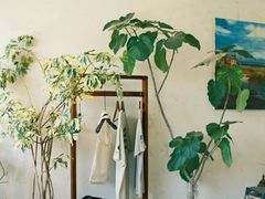 -青莯_Percher Coffee Shop(皮市街店)