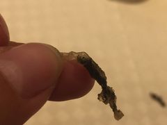 -丁山花园酒店-明园餐厅