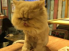 -小时光咖啡馆(开森度假森林店)