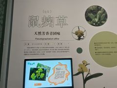 -同里国家湿地公园
