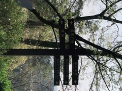 -南山植物园