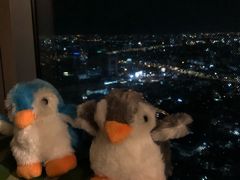 -暹罗海洋世界