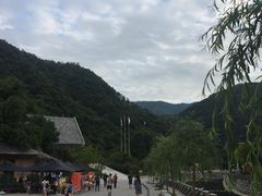 -牛背梁国家森林公园