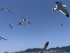 -五谷丰登农家院·地道胶东菜·海鲜烧烤(威海店)