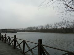 -溱湖国家湿地公园