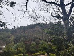 -明月山天沐温泉度假村