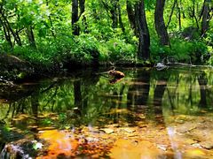 -玉渡山自然风景区
