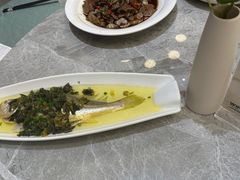 -老绍兴养和饭店(向阳不夜城店)