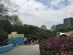 -杭州城北体育公园