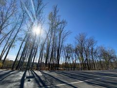 -荣德灶台鱼(圣泉寺店)