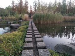 -暨阳湖生态园