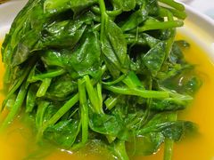 豌豆尖-惠丰堂饭庄·烤鸭·京味菜(翠微路店)