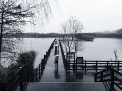 -溱湖国家湿地公园