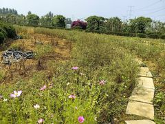 -紫颐香薰山谷景区