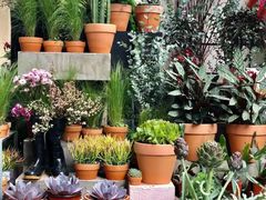 -PlantsEatery·植物食堂(REX春熙店)