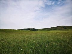 -乌兰布统草原