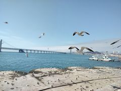 -星海广场