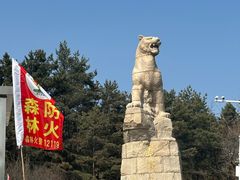 -帽儿山国家森林公园