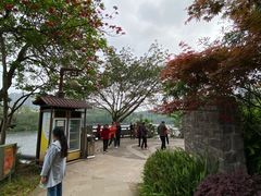 -重庆彩云湖湿地公园