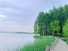 -东湖落雁景区