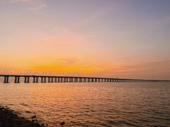 -宝安西湾红树林湿地公园