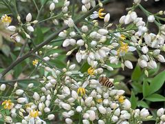 -广州神农草堂中医药博物馆