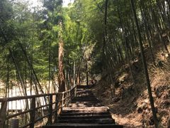 -东天目山风景区