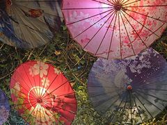 -海韵人家.海景花园经典云南菜(双廊店)