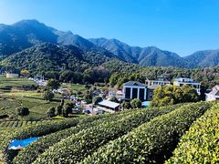 -龙坞茶村