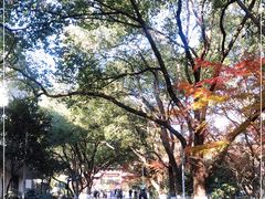 -杭州半山国家森林公园