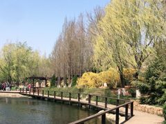 -前关湿地公园