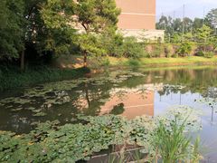 校园环境-平安（深圳）金融教育培训中心