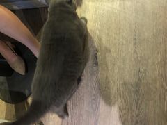 -小时光咖啡馆(开森度假森林店)